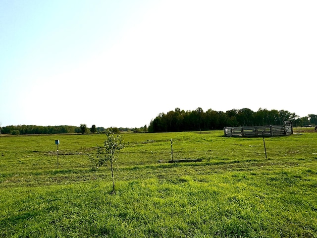 view of yard featuring a rural view