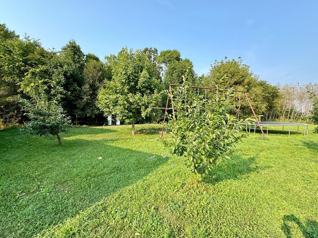 view of yard featuring a trampoline