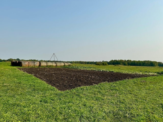 view of yard featuring a rural view