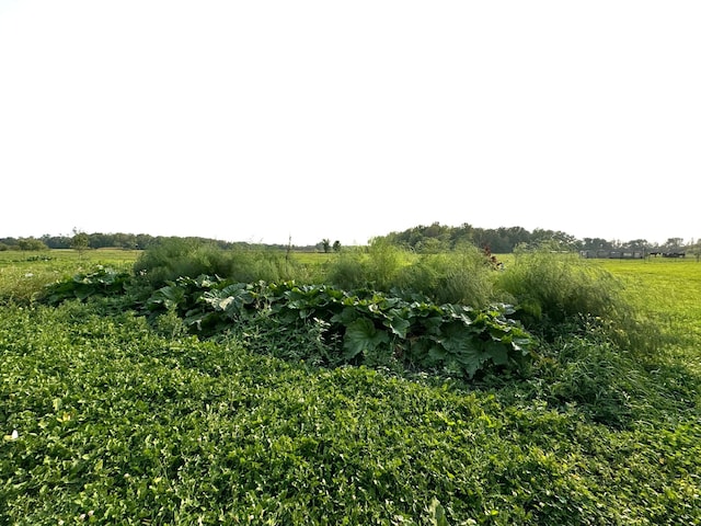 view of nature with a rural view