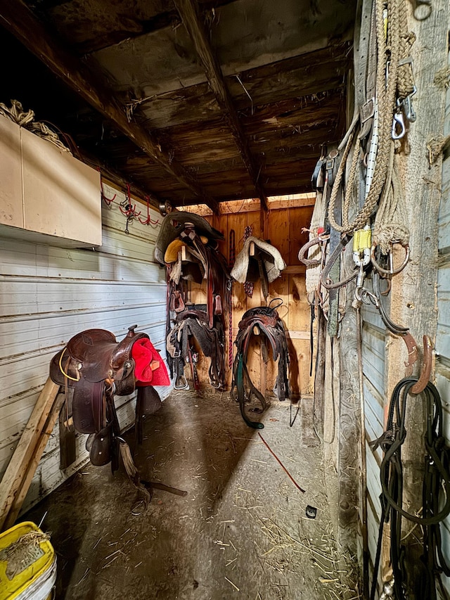 view of horse barn