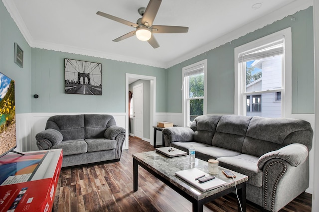 living room with ornamental molding, dark wood-type flooring, and ceiling fan