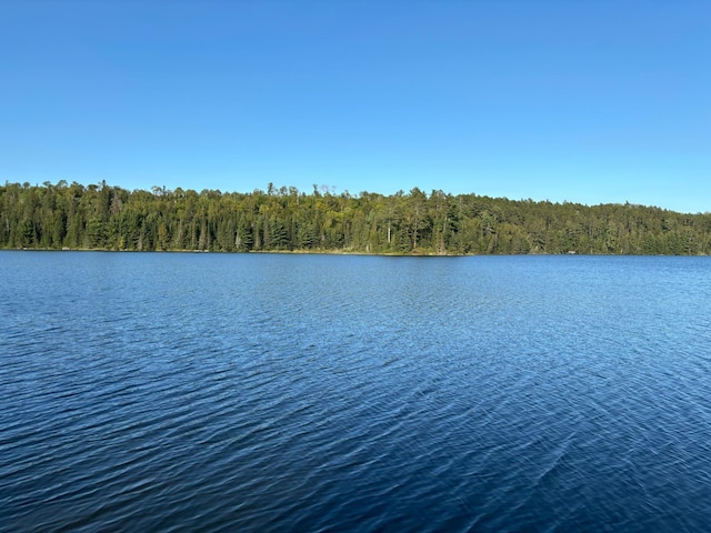 view of water feature