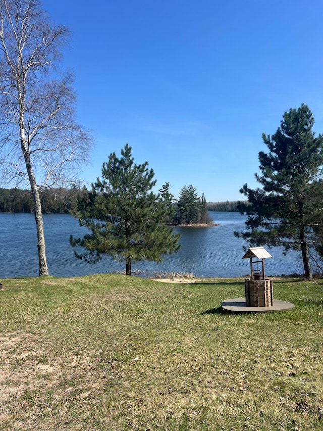 21482 Five Island Lake Rd, Cook, MN 55723 - water view