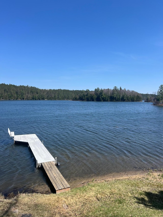 21482 Five Island Lake Rd, Cook, MN 55723 - dock with a water view and a view of trees