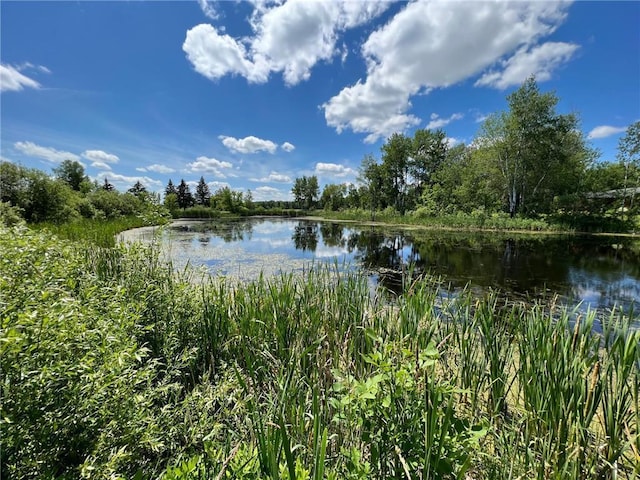 59923 County Road 261, Bigfork, MN 56628 - photo 35