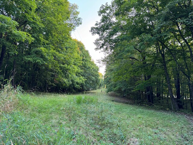 (LOTA)TBD Rock Lake Road, Rochert, MN 56578