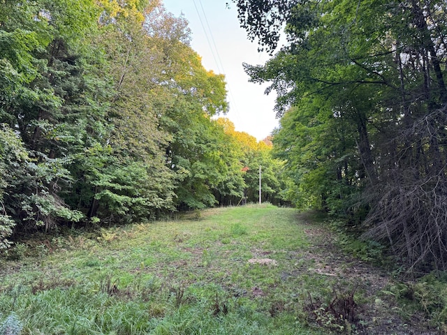 (LOTC)TBD Rock Lake Road, Rochert, MN 56578