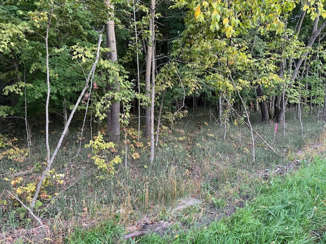 (LOTC)TBD Rock Lake Road, Rochert, MN 56578