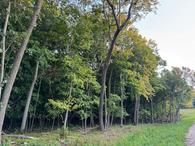 (LOTC)TBD Rock Lake Road, Rochert, MN 56578