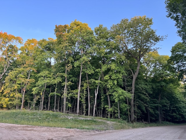(LOTC)TBD Rock Lake Road, Rochert, MN 56578
