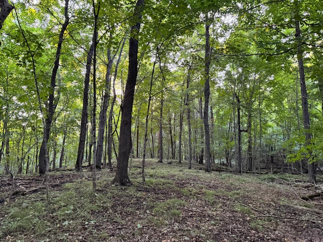 (LOTC)TBD Rock Lake Road, Rochert, MN 56578