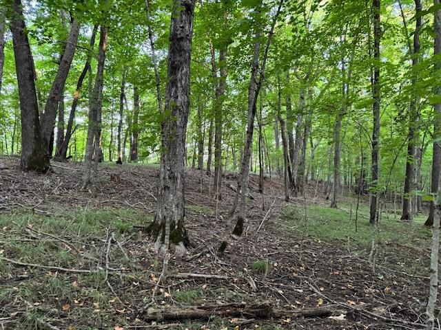 (LOTC)TBD Rock Lake Road, Rochert, MN 56578