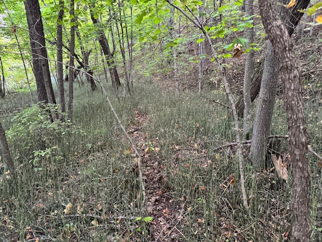 (LOTC)TBD Rock Lake Road, Rochert, MN 56578