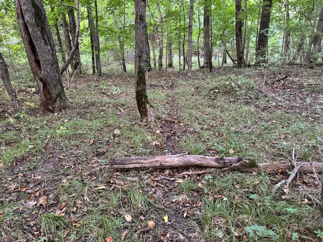 (LOTB)TBD Rock Lake Road, Rochert, MN 56578