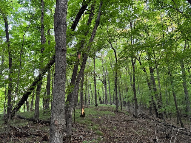 (LOTB)TBD Rock Lake Road, Rochert, MN 56578