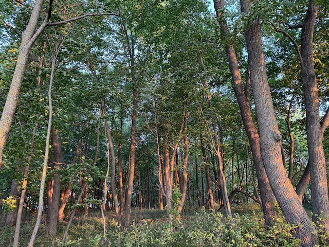 24628 Rock Lake Rd Unit Lot1, Rochert, MN 56578