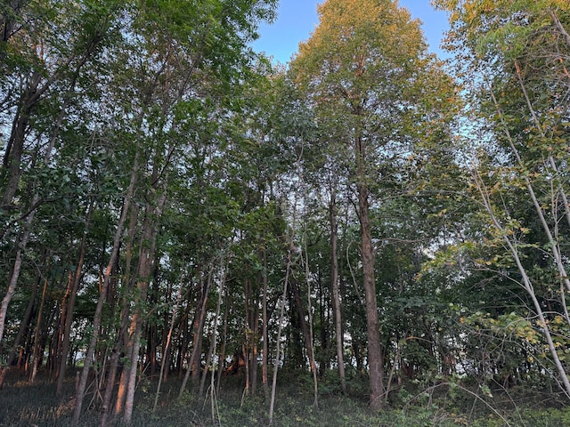 24628 Rock Lake Rd Unit Lot1, Rochert, MN 56578