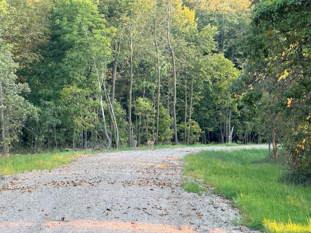 24628 Rock Lake Rd Unit Lot1, Rochert, MN 56578