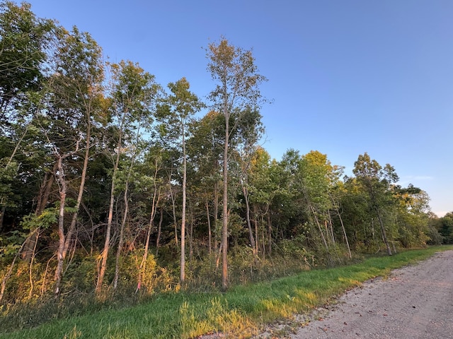 24628 Rock Lake Rd Unit Lot1, Rochert, MN 56578