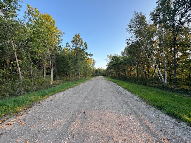 24628 Rock Lake Rd Unit Lot1, Rochert, MN 56578