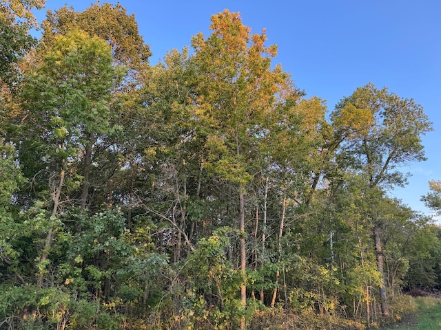 24628 Rock Lake Rd Unit Lot1, Rochert, MN 56578