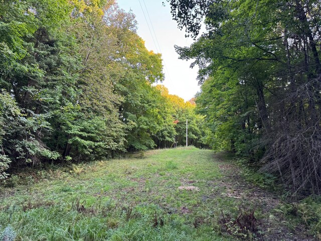 24628 Rock Lake Rd Unit Lot1, Rochert, MN 56578