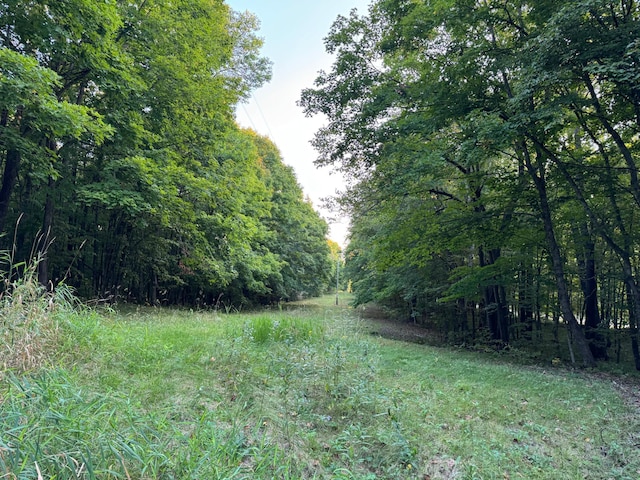24628 Rock Lake Rd Unit Lot1, Rochert, MN 56578