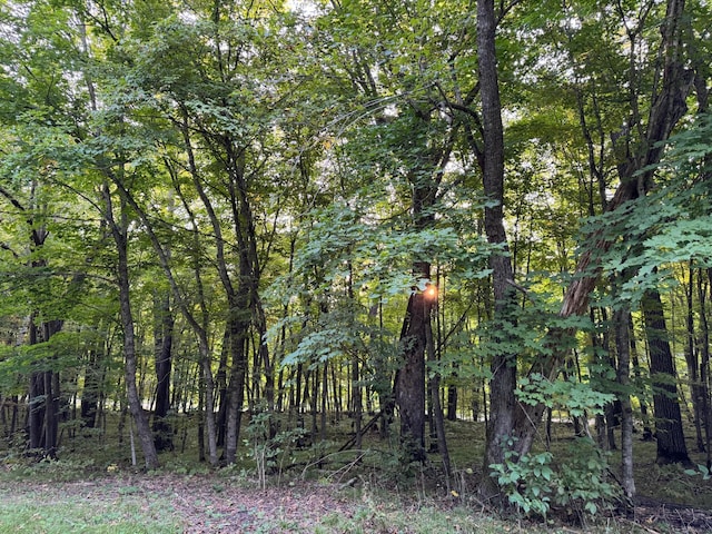 24628 Rock Lake Rd Unit Lot1, Rochert, MN 56578