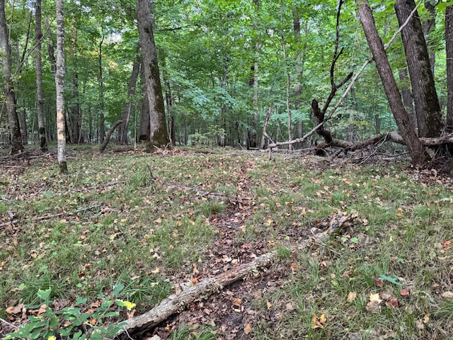 24628 Rock Lake Rd Unit Lot1, Rochert, MN 56578