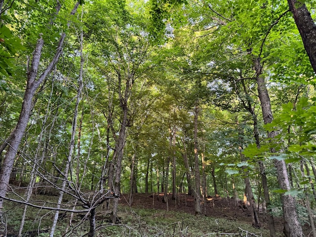 24628 Rock Lake Rd Unit Lot1, Rochert, MN 56578