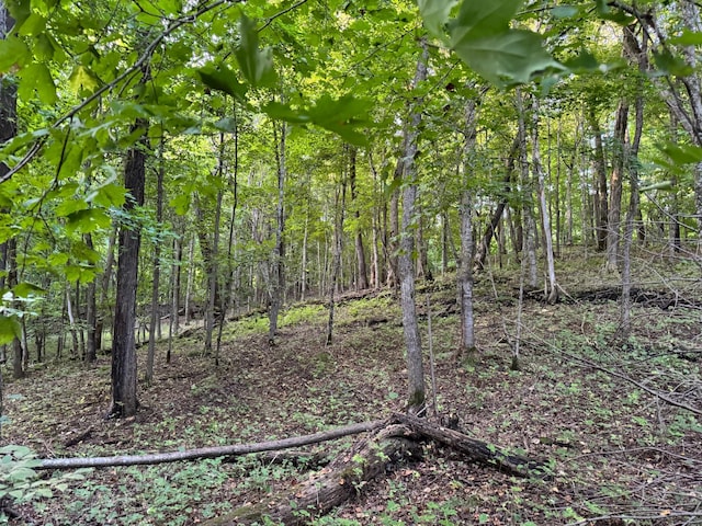 24628 Rock Lake Rd Unit Lot1, Rochert, MN 56578