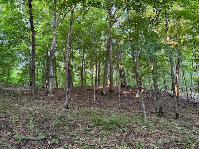 24628 Rock Lake Rd Unit Lot1, Rochert, MN 56578