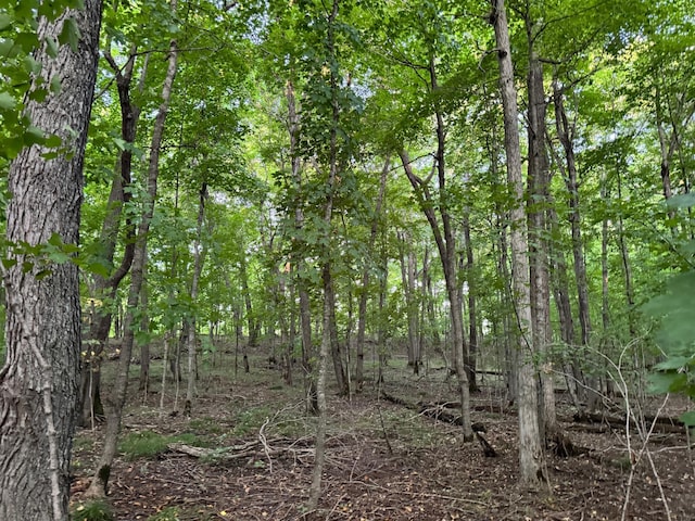 24628 Rock Lake Rd Unit Lot1, Rochert, MN 56578