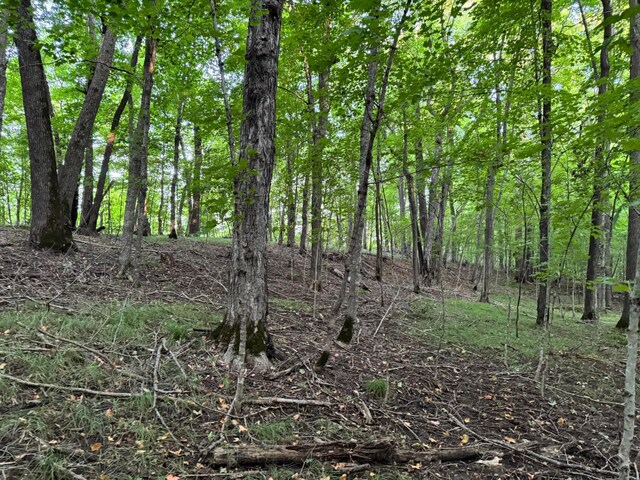 24628 Rock Lake Rd Unit Lot1, Rochert, MN 56578