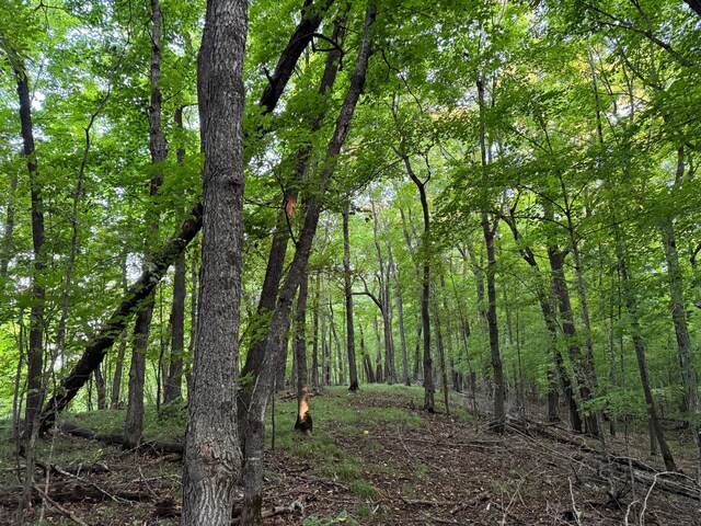 24628 Rock Lake Rd Unit Lot1, Rochert, MN 56578