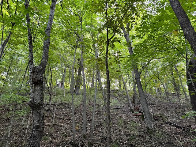 24628 Rock Lake Rd Unit Lot1, Rochert, MN 56578