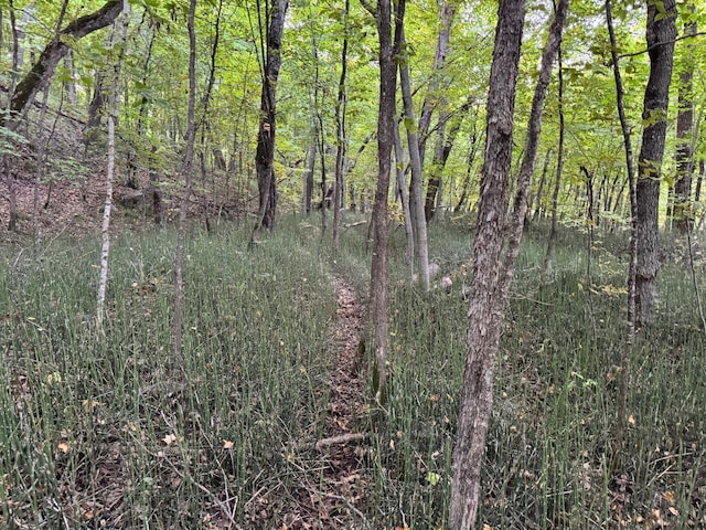 24628 Rock Lake Rd Unit Lot1, Rochert, MN 56578