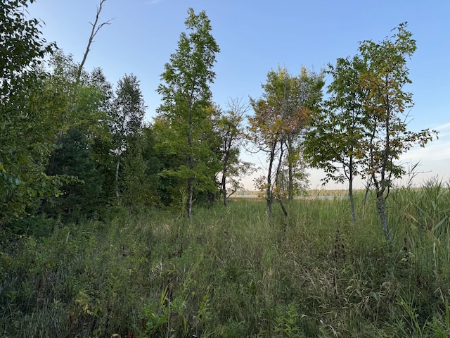 24628 Rock Lake Rd Unit Lot1, Rochert, MN 56578