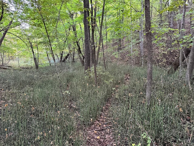 24628 Rock Lake Rd Unit Lot1, Rochert, MN 56578