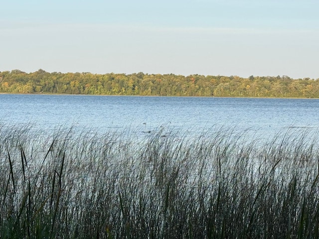24628 Rock Lake Rd Unit Lot1, Rochert, MN 56578