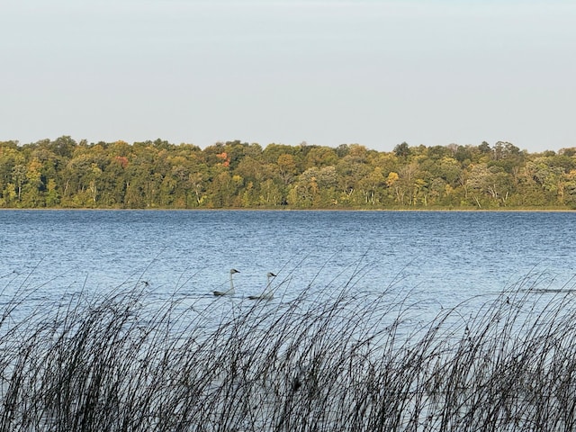 24628 Rock Lake Rd Unit Lot1, Rochert, MN 56578
