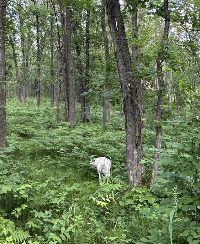 24612 Rock Lake Rd Unit Lot2, Rochert, MN 56578 - photo 24