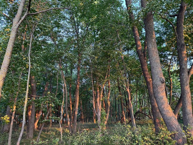 24612 Rock Lake Rd Unit Lot2, Rochert, MN 56578 - photo 14