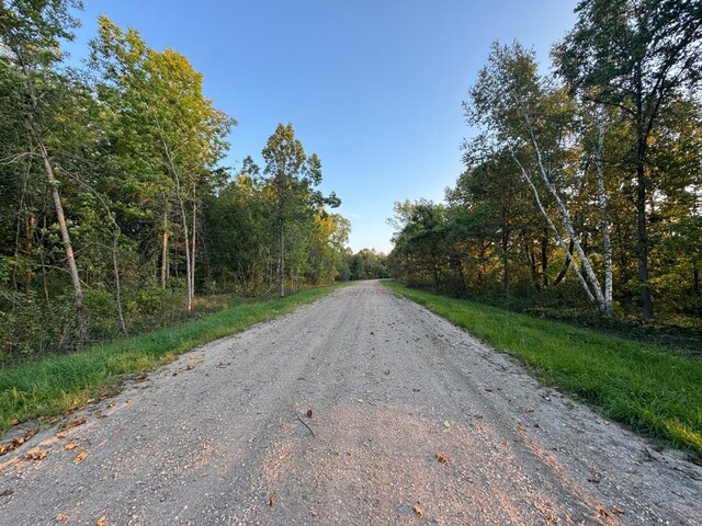 24612 Rock Lake Rd Unit Lot2, Rochert, MN 56578 - photo 20