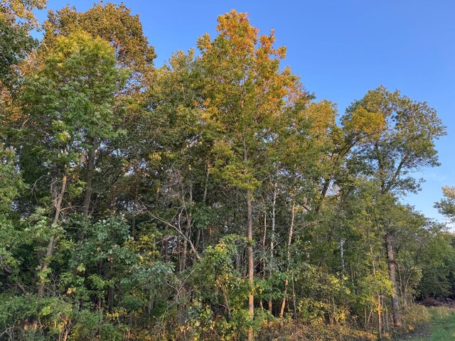 24612 Rock Lake Rd Unit Lot2, Rochert, MN 56578 - photo 21