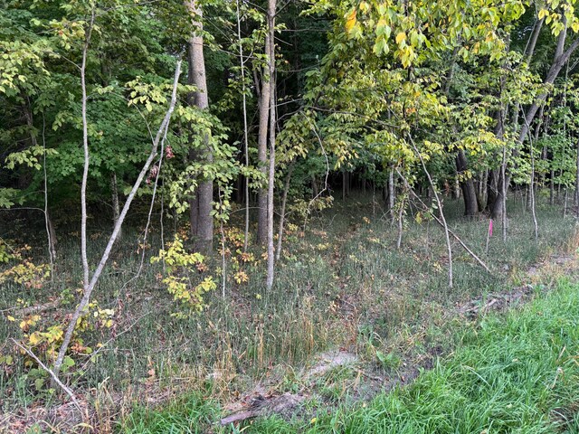 24612 Rock Lake Rd Unit Lot2, Rochert, MN 56578 - photo 23