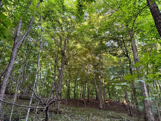 24612 Rock Lake Rd Unit Lot2, Rochert, MN 56578 - photo 34