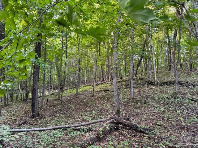 24612 Rock Lake Rd Unit Lot2, Rochert, MN 56578 - photo 35