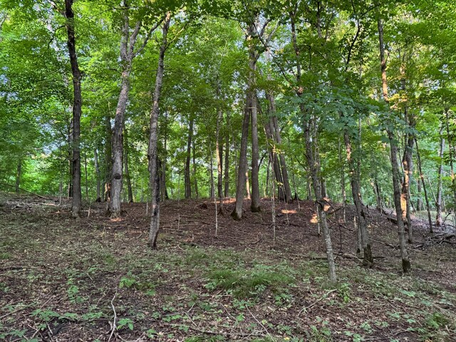 24612 Rock Lake Rd Unit Lot2, Rochert, MN 56578 - photo 36